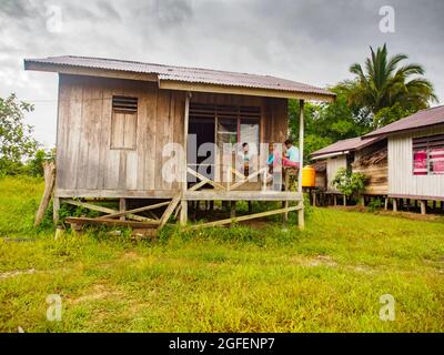 Mabul, Papua Occidentale, Indonesia - Gennaio 2015: Case di legno su palafitte in un piccolo villaggio costruito dal governo indonesiano per il popolo Korowai. Asia Foto Stock