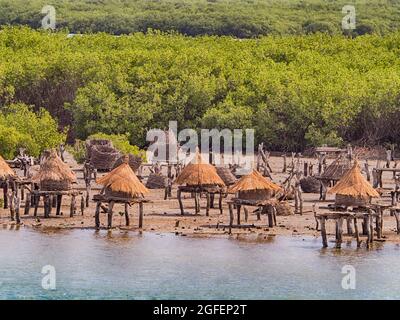 Granai su un'isola conchiglia tra alberi di mangrovie, Joal-Fadiouth, Senegal Africa Foto Stock