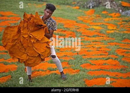 Dhaka, Bangladesh. 25 ago 2021. DHAKA CITY, BANGLADESH - AGOSTO 25: Un lavoratore di Hazaribagh mette pezzi di pelle ad asciugare come parte del processo di conciatura del cuoio in una piccola fabbrica per venderlo alla produzione di scarpe. L'abbronzatura consiste nell'imbevuto delle pelli, quindi per eliminare il sale in una soluzione di calce e acqua per ammorbidire i capelli ed eliminarli con una macchina, quindi i residui vengono rimossi a mano con un coltello smussato. Il 25 agosto 2021 a Dhaka, Bangladesh. (Foto di Eyepix/Sipa USA) Credit: Sipa USA/Alamy Live News Foto Stock