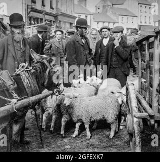 Una fotografia dei primi anni del XX secolo di contadini e abitanti del luogo in una fiera delle pecore che si tiene nella Piazza del mercato, nella città di Killarney, nella contea di Kerry, in Irlanda. Foto Stock