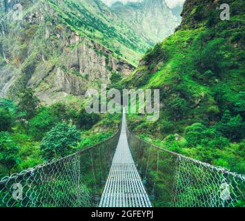 Ponte di metallo sospeso e bella foresta verde in montagna Foto Stock