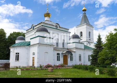 L'antica Cattedrale della Trasfigurazione del Salvatore nel Monastero della Trasfigurazione del Salvatore in un pomeriggio di luglio. Roslavl, regione di Smolensk. Russ Foto Stock