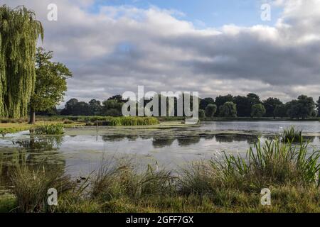 La nuvola di Bush Park che si forma sopra gli stagni a Bushy Park vicino Hampto Court Surrey quando su proprietà pubblica o privata sono pronto a prendere la risposta completa Foto Stock