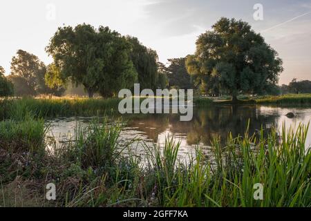 Sole che sorge attraverso la nebbia sopra lo stagno di airone in Bushy Park Surrey quando in proprietà pubblica o privata sono disposto ad assumersi la piena responsabilità di qualsiasi Foto Stock