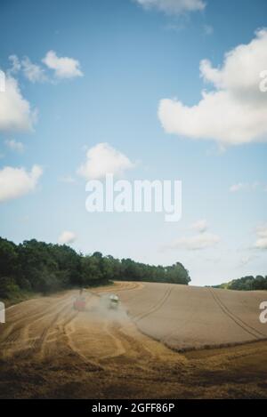 Canterbury, Kent, Regno Unito. 25 agosto 2021. Una mietitrebbia raccoglie grano sotto cieli soleggiati, vicino a Canterbury, nella campagna del Kent. Credit: Kevin Bennett/Alamy Live News Foto Stock