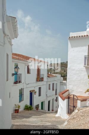 Vista sulla strada con piante in vaso, Frigiliana, Provincia di Malaga, Andalusia, Spagna Foto Stock