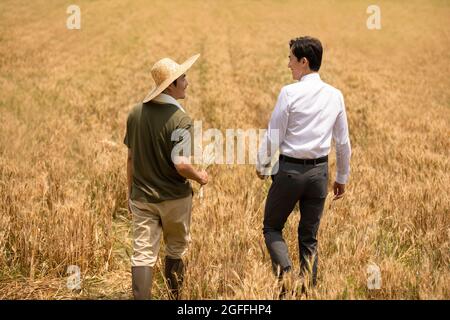 Agricoltore che parla con l'uomo d'affari nel campo del grano Foto Stock