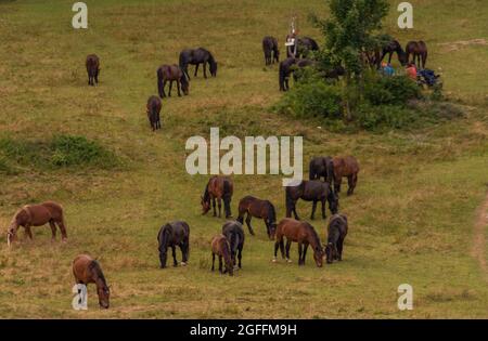 Vista sul parco nazionale di Muranska planina con cavalli con grandi campane Foto Stock