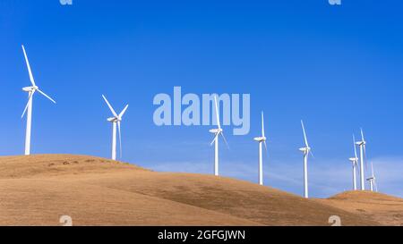 Turbine eoliche sulla cima delle colline dorate nella contea di Contra Costa, nella zona orientale della baia di San Francisco, California Foto Stock