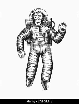 Astronauta scimmia che agitava la mano. Scimpanzee spaceman cosmonaut personaggio. Animale alla moda. Disegno a mano inciso vecchio schizzo monocromatico. Vettore Illustrazione Vettoriale