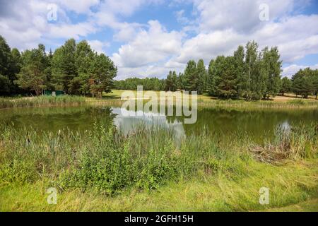 Lago circondato dal verde sul territorio del golf club. Serbatoio artificiale. Foto Stock