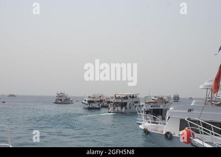 Egitto, Sharm el-Sheikh, Mar Rosso - Agosto 05. 2021: rifugio marino. Foto Stock