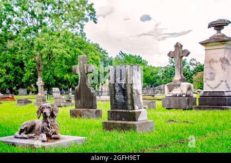 Una statua del cane si trova ai piedi di quattro tombe per bambini nella trama della famiglia Nott nel cimitero di Magnolia, 14 agosto 2021, a Mobile, Alabama. Foto Stock