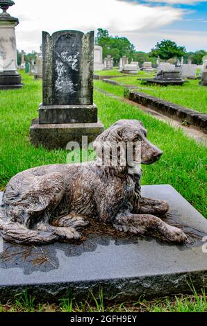 Una statua del cane si trova ai piedi di quattro tombe per bambini nella trama della famiglia Nott nel cimitero di Magnolia, 14 agosto 2021, a Mobile, Alabama. Foto Stock