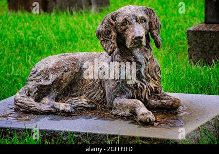 Una statua del cane si trova ai piedi di quattro tombe per bambini nella trama della famiglia Nott nel cimitero di Magnolia, 14 agosto 2021, a Mobile, Alabama. Foto Stock