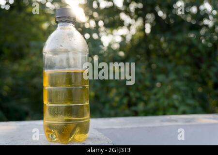 Un primo colpo di olio d'oliva in una bottiglia contro la luce solare. Foto Stock