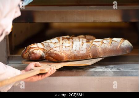 Supermarket U : qualcuno che fa il panettiere che prende il pane della fattoria fuori dal forno Foto Stock