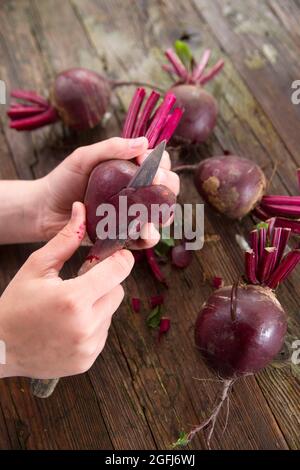 Presentazione di foto del momento quando si Pelare le barbabietole Foto Stock