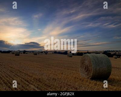 Tramonto con balle di fieno in attesa di essere ritirato da un campo a metà Suffolk, Inghilterra Foto Stock