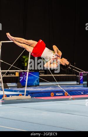 Melbourne, Australia. 13 dicembre 2014. Tomomasa Hasegawa dal Giappone a mezz'aria durante la World Cup Ginnastica di Melbourne. (Foto di Alexander Bogatirev/SOPA Image/Sipa USA) Credit: Sipa USA/Alamy Live News Foto Stock