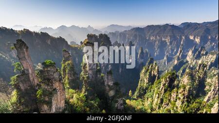 Splendida vista sulle montagne di formazioni geologiche uniche nel sito patrimonio dell'umanità Zhang Jia Jie, Hunan, Cina. Foto Stock