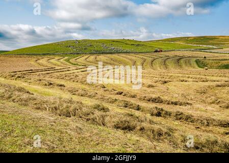 Produzione di balle di grandi dimensioni con un trattore Massey Ferguson a Malham Moor, agosto 2021 Foto Stock