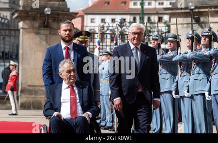 Prag, Repubblica Ceca. 26 agosto 2021. Il presidente federale Frank-Walter Steinmeier è ricevuto con onorificenze militari da Milos Zeman, presidente della Repubblica Ceca, al castello di Praga. Il presidente federale Steinmeier e sua moglie sono in visita di tre giorni nella Repubblica ceca. Credit: Bernd von Jutrczenka/dpa/Alamy Live News Foto Stock