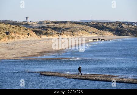Ambleteuse (Francia settentrionale): walker circondato dall'acqua, da solo su una spiaggia, con dune sullo sfondo, lungo la zona costiera “Cote d’Opale” Foto Stock