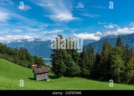 Paesaggio con il trionfato Bernese di Eiger, Moench e Jungfrau sullo sfondo, Beatenberg, Oberland Bernese, Svizzera, Europa Foto Stock