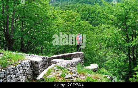 Slovenia, Planina Zaprikraj. Il trincerone della prima Guerra Mondiale (grande trincea) sul versante del Monte Vrsic. Ha raggiunto il passo all'altitudine di 1270. Foto Stock