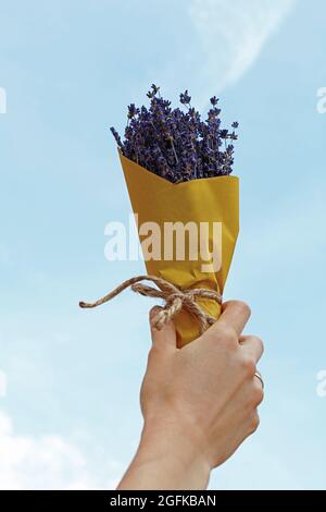 Primo piano donna mano che tiene bouquet di fiori secchi lavanda avvolto in carta gialla, sollevato su cielo blu, prospettiva personale, basso angolo di vista Foto Stock