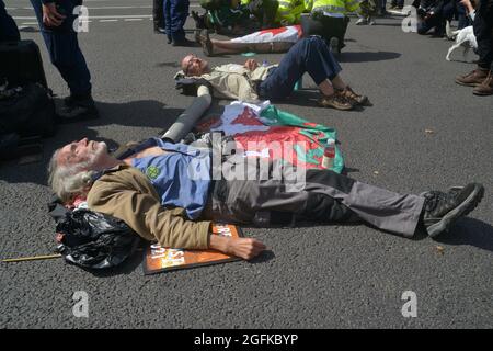 Gli attivisti si sono incatenati insieme, durante la manifestazione. Gli attivisti del cambiamento climatico della ribellione di estinzione si sono dimostrati a Parliament Street, Westminster Foto Stock