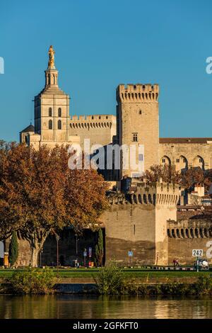 FRANCIA, VAUCLUSE (84) AVIGNONE. IL PALAZZO DEI PAPI Foto Stock