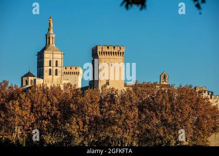 FRANCIA, VAUCLUSE (84) AVIGNONE. IL PALAZZO DEI PAPI Foto Stock