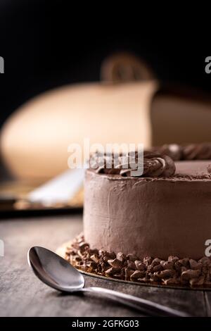 Pezzo di torta al tartufo di cioccolato su tavolo di legno Foto Stock