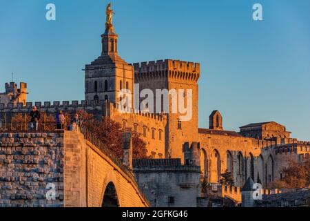 FRANCIA, VAUCLUSE (84) AVIGNONE. IL PALAZZO DEI PAPI Foto Stock