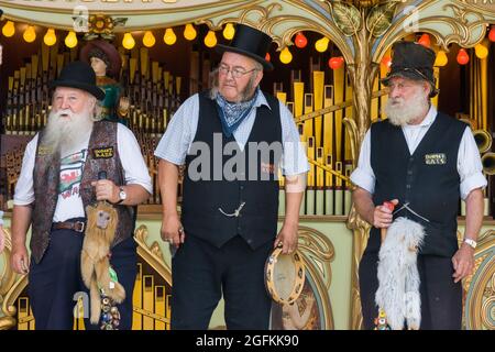 Pickering Steam Rally 2010 Foto Stock