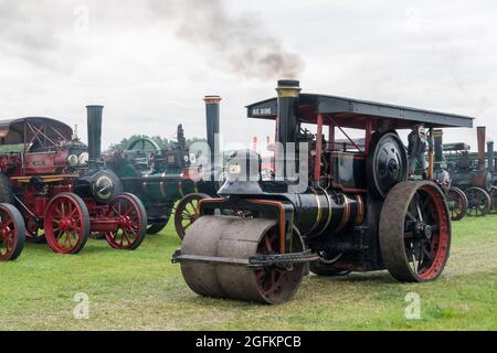 Pickering Steam Rally 2010 Foto Stock