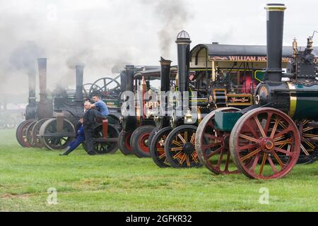 Pickering Steam Rally 2010 Foto Stock