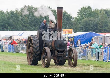 Pickering Steam Rally 2010 Foto Stock