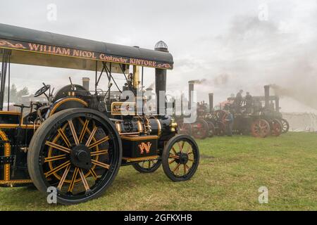 Pickering Steam Rally 2010 Foto Stock