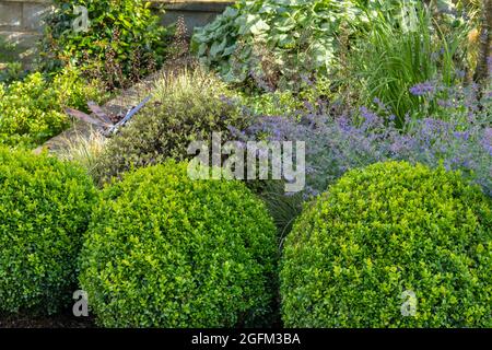 Giardino privato panoramico e soleggiato da vicino (fiori di confine estivi, fogliame a contrasto, palle buxus tagliate, paletto ornamentale) - Yorkshire, Inghilterra, Regno Unito. Foto Stock