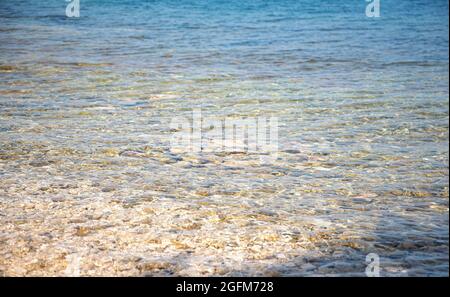 Fondale roccioso e acqua limpida. Foto Stock