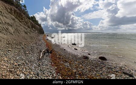 Vista sul Mar Baltico e sulla costa delle scogliere di Panga sull'isola di Saaremaa, nel nord dell'Estonia Foto Stock