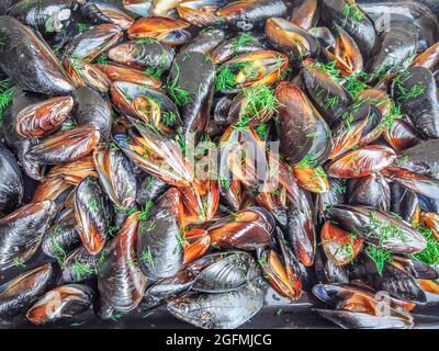 Cozze Marinara, moules mariniere, con aneto fresco, aglio, burro e vino Foto Stock