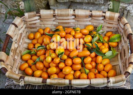 Cestino di Kumquats appena sfornati Foto Stock