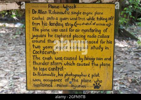 Descrizione di un relitto aereo in Cockscomb Basin Wildlife Sanctuary, Belize. Questo aereo si schiantò con il dottor Alan Rabinowitz, biologo che studiava giaguari. Foto Stock