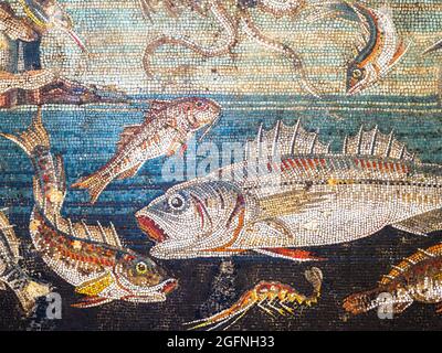 Vita marina emblema Mosaico in opus vermiculatum fatto da tessere policrome. Pompei, Casa del Fauno - fine II secolo - inizio i secolo d.C. Foto Stock