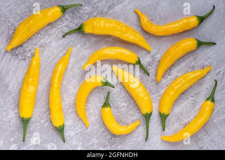 Peruviano giallo Aji chilis. Foto Stock