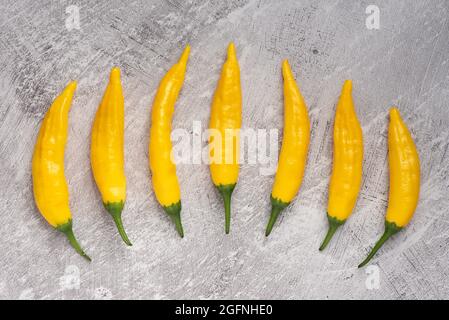 Peruviano giallo Aji chilis. Foto Stock